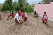 Saint MSG Glorious International School-Planting Tree